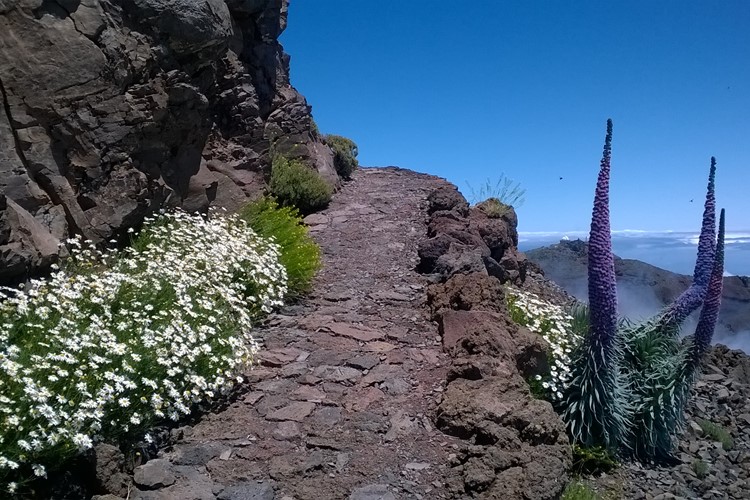La Palma - Roque de los Muchachos 2