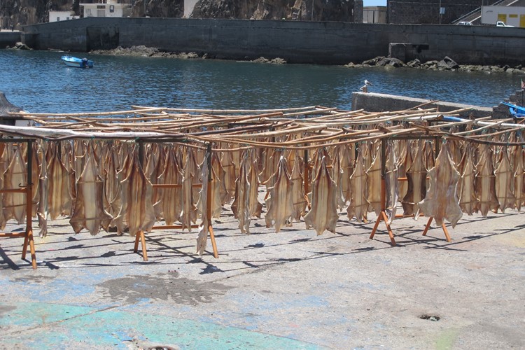 sušené tresky v Camara de Lobos