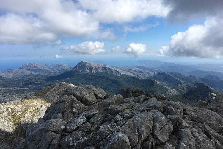 pohled z vrcholu Massanella (1352m)