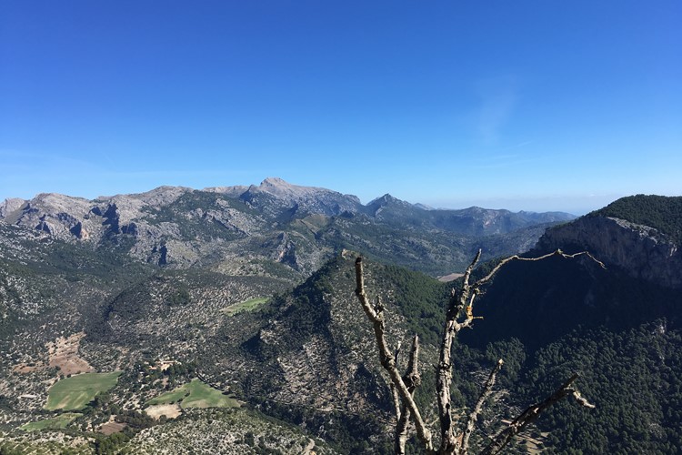 výhled od hradu Alaró na pohoří Tramuntana