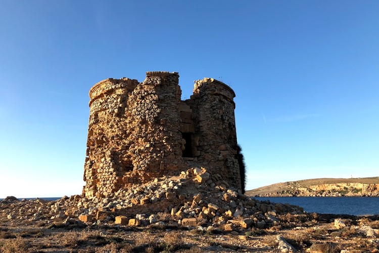 věž Sanitja