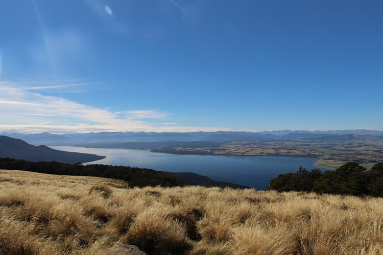 jezero Manapouri