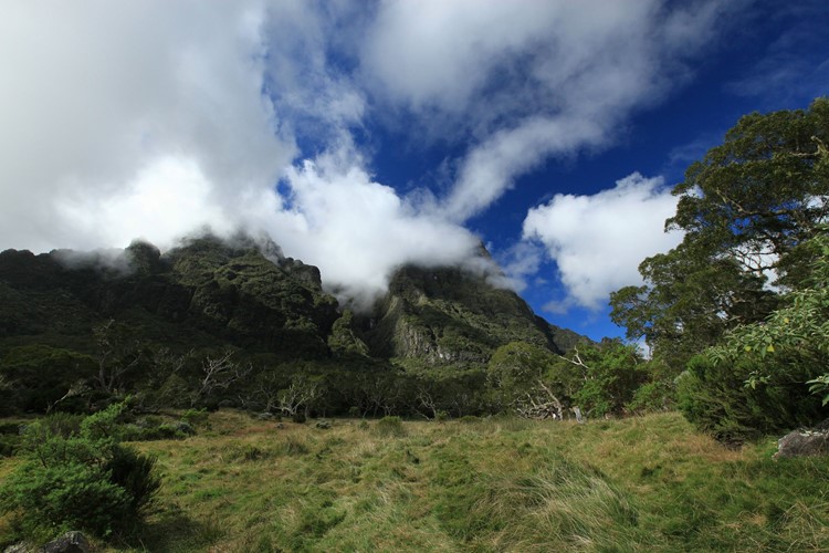 Réunion - výstup do Col des Boeufs