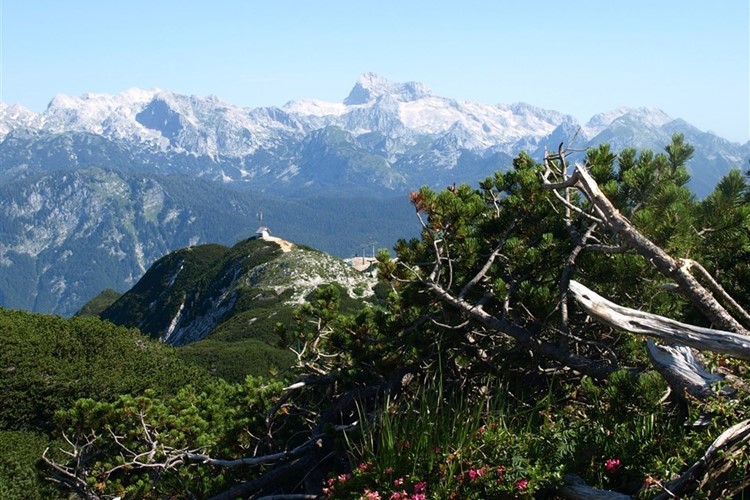 Julské Alpy - Triglav přes kosodřevinu