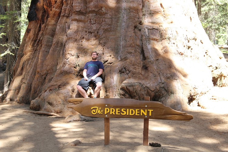 N.P. Sequoia - The President