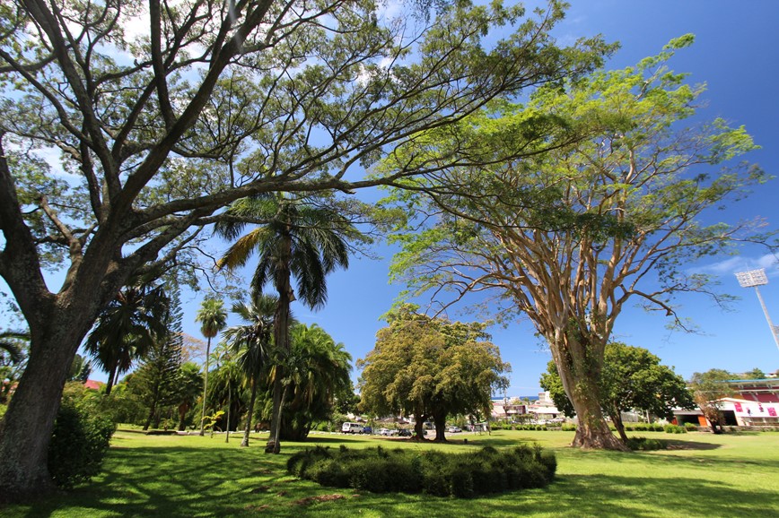 Dominika - botanická zahrada v Roseau