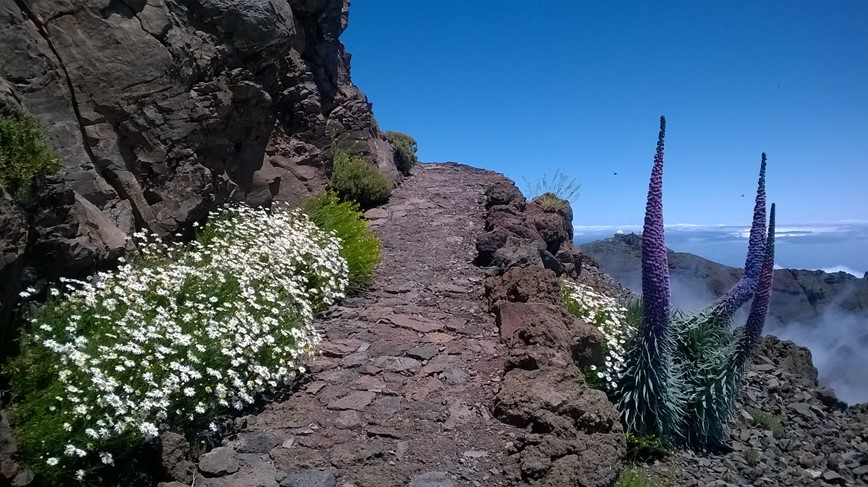 La Palma - Roque de los Muchachos 2