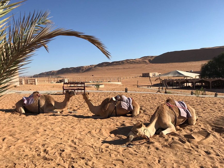 poušť Wahibah - pouštní kemp