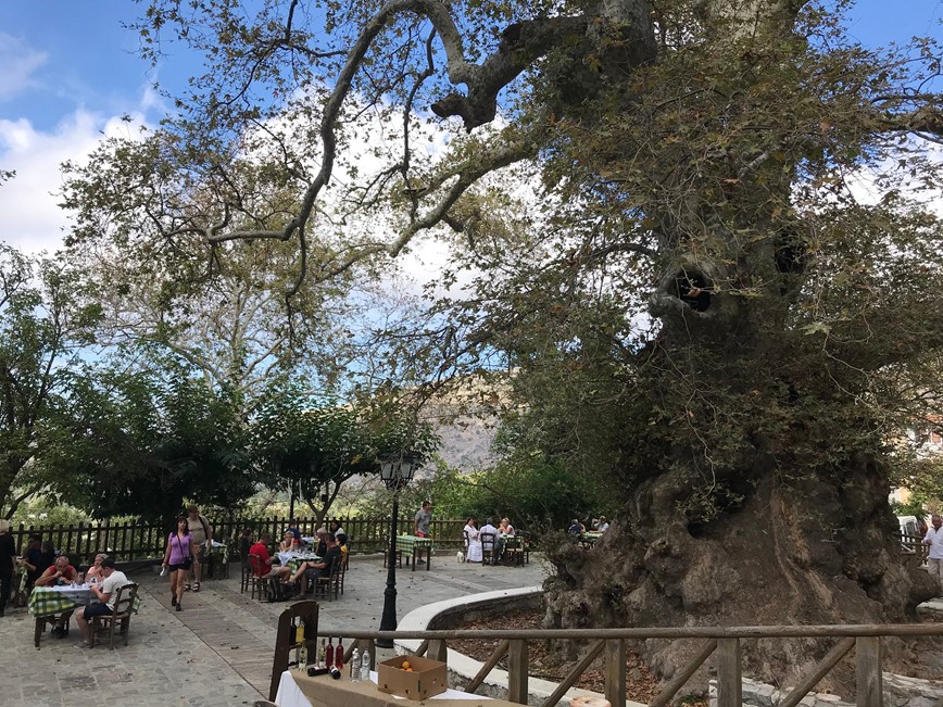 3.den - obec Krasi - největší platan na Krétě